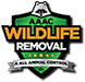 Conroe Wildlife Removal